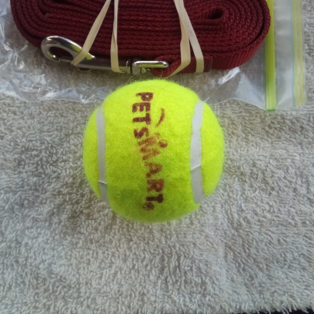 Leash and Ball Emergency Kit